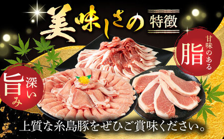 【全12回定期便】糸島 豚 バラエティ セット ( しゃぶしゃぶ / 肩ロース / とんかつ )糸島市 / トラヤミートセンター [AJD012]