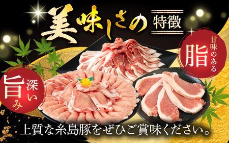 【全6回定期便】計4.6kg！糸島豚 食べ尽くしセット ( とんかつ / 肩ロース / しゃぶしゃぶ / 豚バラ / スペアリブ / 小間切れ ) 糸島市 / トラヤミートセンター [AJD013]