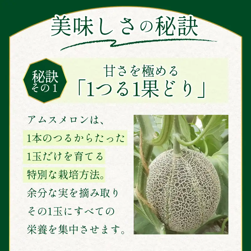 A-1147 益田産あまーいアムスメロン ２玉（秀品）