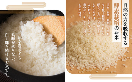 【四八米】酵素プレミアム　5kg No.288