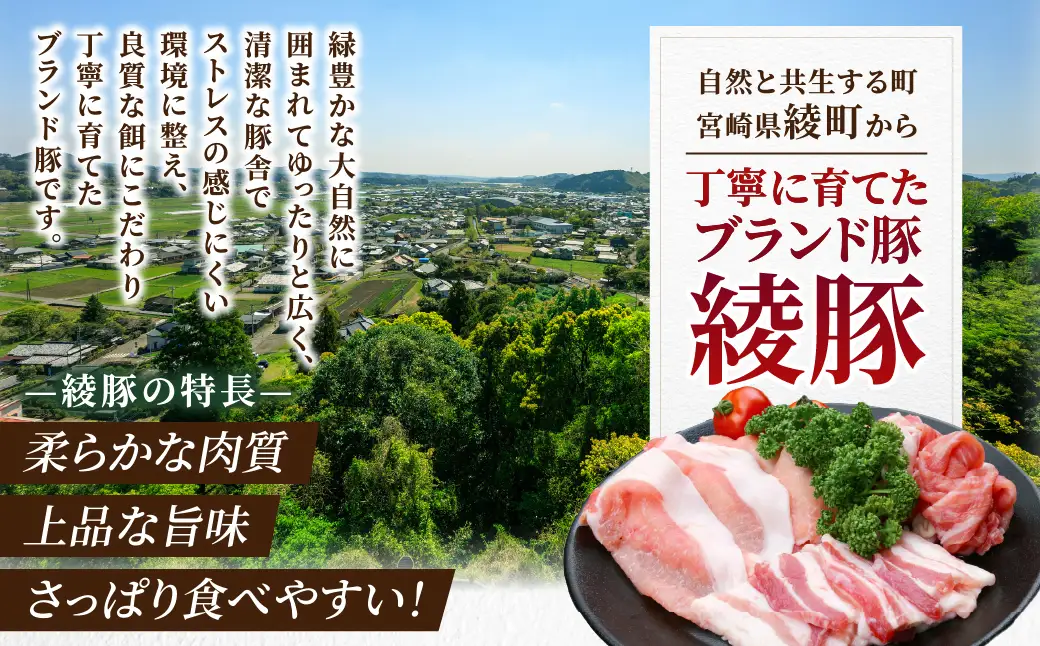 綾豚ファミリーセット_0023-005