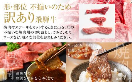 訳あり 飛騨牛 焼肉 切落とし 600g（150g×4パック） 冷凍真空パック | 肉 牛肉 焼肉 小分け 人気 おすすめ ギフト お取り寄せ【飛騨高山ミート MZ014】
