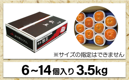【2026年10～11月発送】秋のフルーツの王様・ブランド柿「秋王」約3.5kg[H2321]