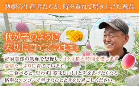 リピーター続出!!宮崎県産 完熟 マンゴー 2L以上×9玉 令和8年発送分 数量限定 フルーツ 果物 果汁 希少 濃厚 ジューシー 贅沢 上質 ご褒美 人気 国産 食品 おやつ デザート 産地直送 おすすめ ギフト プレゼント 贈り物 お土産 手土産 南国 日南市 送料無料_IE5-25