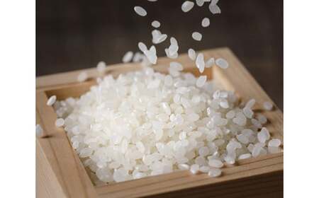 米 令和7年 のと米 こしひかり 精米 10kg [はくい農業協同組合 石川県 宝達志水町 38601249]