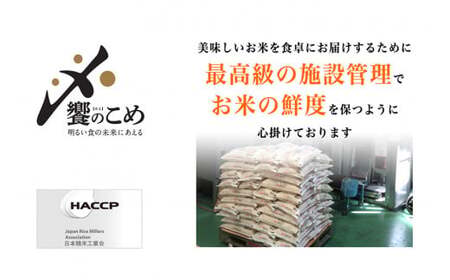 米 令和7年 石川県産 5kg×4種 20kg 精米 食べ比べ [38601112] 米