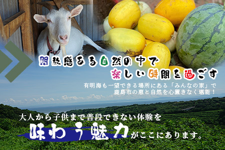 【自然豊かで見晴らし最高！！】農業体験と宿泊プラン（１名様分）　佐賀県鹿島市　民宿　みんなの家　F-58