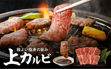 【 鹿児島 黒毛和牛 A4 ～ A5 】焼肉 上 セット ( 上カルビ / 上ロース ) K189-008 肉 牛肉 冷凍