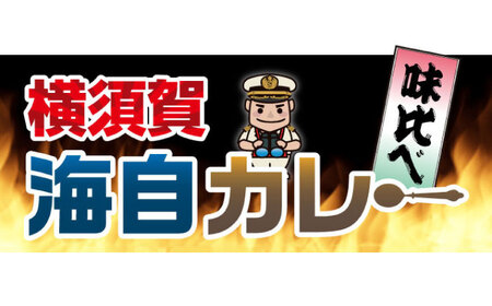 横須賀海自カレーコンプリートBOX・改 200g×8 カレー 海上自衛隊カレー 海軍 海軍カレー 軍艦 横須賀 自衛隊 神奈川 レトルト 非常食 保存食【横須賀商工会議所 おもてなしギフト事務局（株式会社調味商事）】 [AKAQ005]