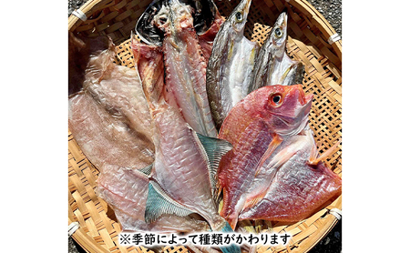 できたて干物セット 4～5種 おまかせ 富山県黒部市/産地直送 旬 魚介 魚 さかな 詰め合わせ ひもの 富山湾 名水 産地直送 生地 干物の詰め合わせ 加工品 朝食 朝ごはん おかず 夕飯 晩御飯 