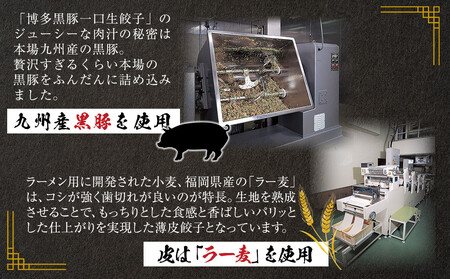 【1週間以内に発送！】【福岡ブランド】博多黒豚一口生餃子 福岡県産ラー麦皮使用 創業40年以上福岡会社製造 | 博多 冷凍餃子 生餃子 焼き餃子 ぎょうざ ギョーザ 小分け 惣菜 人気 おすすめ 冷凍食品 冷凍 中華 お取り寄せ グルメ 福岡市