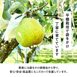 果汁100% ラ・フランスジュース 2本入 [h039]