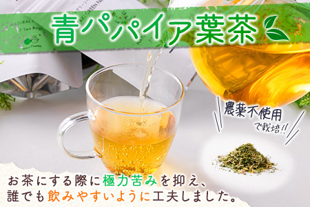 ［お試し］グリーンパパイアティー 2種セット（果実茶＆葉茶）ティーバッグタイプ ポスト投函【P4】