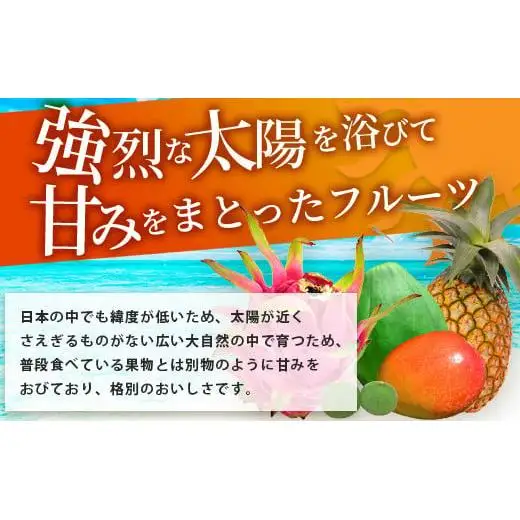 石垣島の夏「果物」詰め合わせ～夏のタカラモノ果物便～SH-5