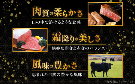 【6回定期便】 ウデ モモ スライス 500g 長崎和牛 A4 ～ A5ランク しゃぶしゃぶ すき焼き / 牛肉 和牛 牛 霜降り 黒毛和牛 / 大村市 / 肉のふじた[ACAF011]