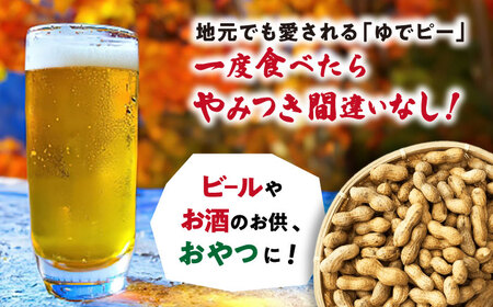 【冷凍保存3か月可】塩ゆで落花生 合計1kg（250g×4袋） / ゆでぴー 落花生 ピーナッツ ナッツ おつまみ おやつ / 大村市 / 浦川豆店[ACZR002]