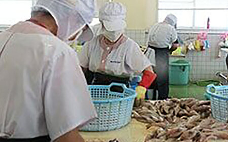 辛子めんたいこ（あごだし風味）約700g / 飛魚だし 飛魚 あご アゴ あごダシ あごだし 漬け込み めんたいこ 辛子明太子 明太子 辛子めんたい / 大村市 / 株式会社ナガスイ [ACYQ005]