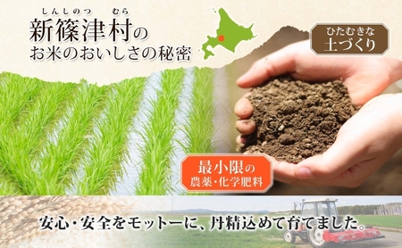 北海道 定期便 3ヵ月 連続 全3回 R7年産 北海道産 ななつぼし5kg 精米 米 白米 ごはん お米 5キロ 特A 獲得 北海道米 ブランド米 道産 ご飯 お取り寄せ あっさり ふっくら