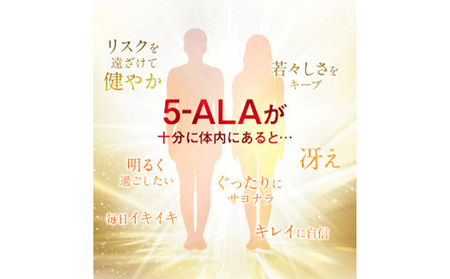 DHC 5-ALA 30日分 12個セット サプリメント 健康食品 加工食品 アミノ酸 ファイブアラ 5-アミノレブリン酸 エネルギーづくり コエンザイムQ10 鉄 亜鉛 ビタミンD 健康維持 