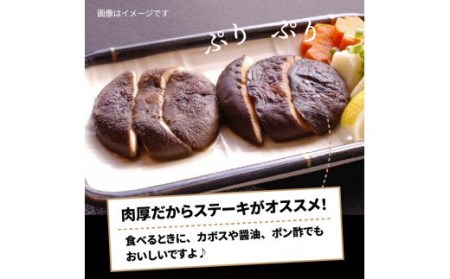 国東しいたけ「香ちゃん（極上品300g）」※桐箱入り・通 _29030B