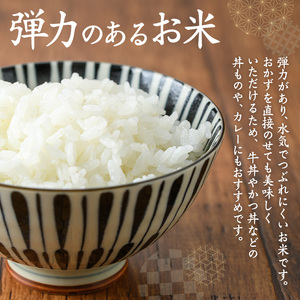 【6回定期便(連続)】鹿児島県 出水市産 ヒノヒカリ 山水米 5kg×6回 定期便 精米 白米 【JA鹿児島いずみ(米)】 i874-A