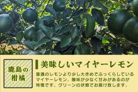 【産地直送】【農家直送】【予約受付】佐賀県鹿島市産　マイヤーレモン　5kg サイズ混合【９月～2月頃まで配送】 B-726