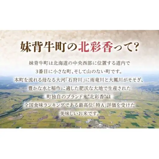 2026年12月発送 令和8年産 ななつぼし 白米 20kg (真空パック) 一括発送 【プレミアム北彩香】