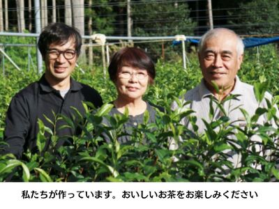 11-73 お茶 茶葉 静岡 煎茶 / 相藤園オリジナル「川根紅茶セット」