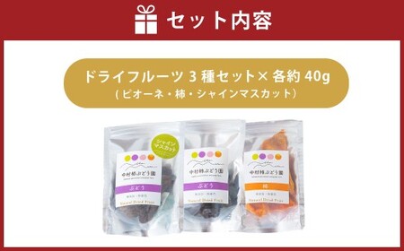 中村柿ぶどう園 ナチュラルドライフルーツ 3種セット (ピオーネ・柿・シャインマスカット) 各約40g
