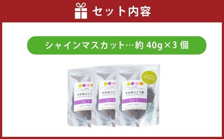 中村柿ぶどう園 ナチュラルドライフルーツ (シャインマスカット) 約40g×3個 