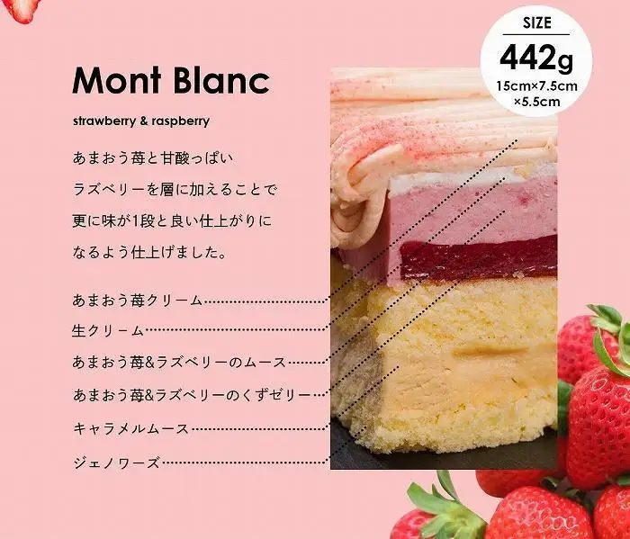 【福岡市】あまおう苺モンブランケーキ 1個（15cm×7.5cm×5.5cm）ストロベリーフィールズ | モンブラン 栗 冷凍 スイーツ デザート おすすめ 人気 ギフト プレゼント 福岡市 返礼品