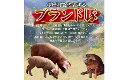 一勝地赤豚 とんかつ用 10枚（約1.5kg）FKP9-525