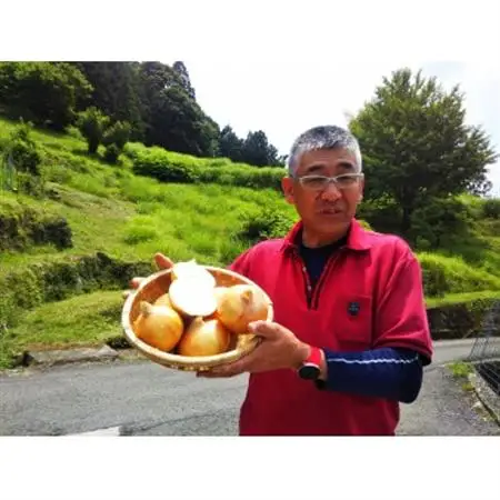 農家人が選んでお届けする「にし阿波の旬野菜詰合せ」　4～5品【配送不可地域：離島】【1432165】