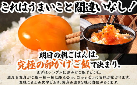 君嶋養鶏園のたまご Lサイズ 27個＋割れ補償3個（10個入り×3パック）計30個