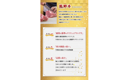 特選　和歌山県産熊野牛ヒレステーキ　150g×1枚 / 和歌山県 田辺市 熊野 熊野牛 牛肉 ステーキ 冷凍便 【sks001】