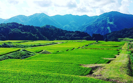 【令和7年産米】新潟県村上市岩船産 棚田米 コシヒカリ 玄米 10kg AB4041