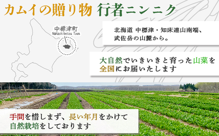 行者ニンニク 4種 セット 醤油 しょうゆ漬け 刻みしょうゆ漬け 味噌 各1個 オンライン 申請 ふるさと納税 北海道 中標津 行者にんにく 幻の山菜 山菜 山の幸 万能 調味料 疲労回復 健康効果 長寿 体力増強 ご飯のお供 お酒のあて 中標津町【2000101】