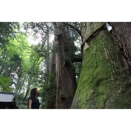 白山比め神社ガイド付き昇殿参拝_旅行券・チケット  体験チケット _【1250603】