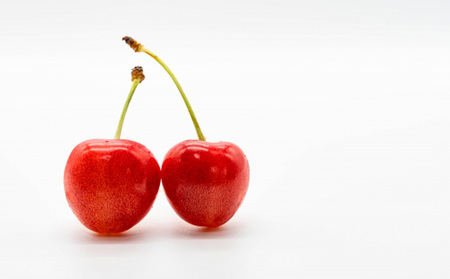 【定期便3回】旬のフルーツ　よくばり定期便  FZ25-824