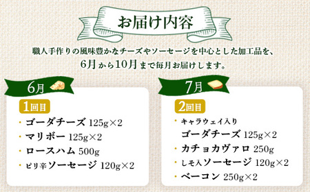 【数量限定】【定期便：全5回】職人手作りチーズ・ソーセージ定期便 前期（全17種）【1700301】