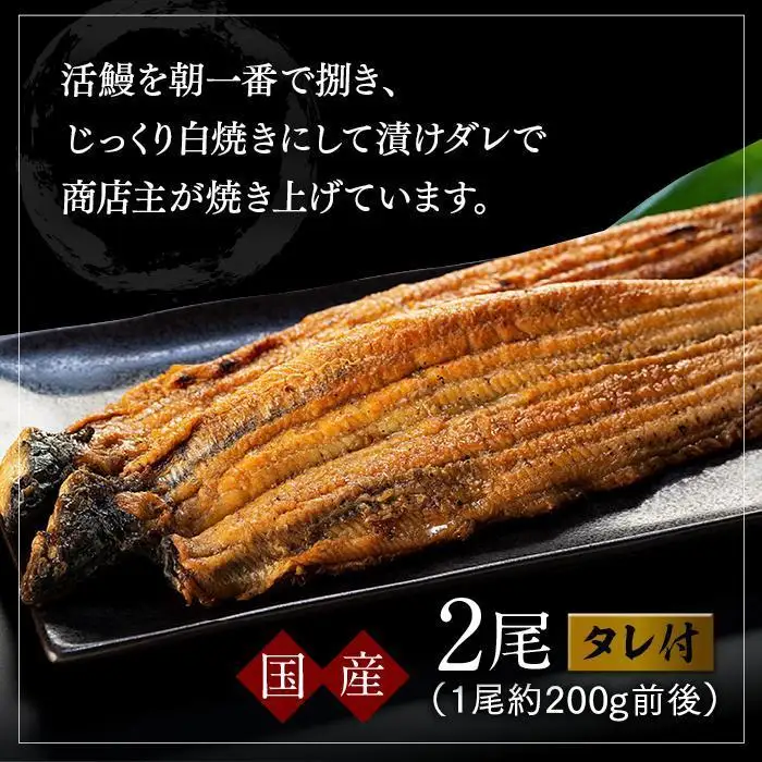 【ギフト用】うなぎ蒲焼(2尾）うなぎ