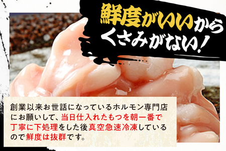 もつ鍋セット 2～3人前 醤油味 ホルモン小腸 もつ 小腸 300g 九州産 国産 ホルモン スープ ちゃんぽん ごま 鷹の爪 ごま油 セット 黒毛和牛 冷凍 取り寄せ 送料無料 牛もつ鍋処 茶びん