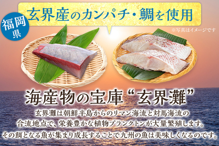 博多珍味 4品 3種類 4パック 魚介類 惣菜 加工品 おかず おつまみ 冷凍 詰め合わせ 簡単調理 魚 ごまさば カンパチ漬け 鯛茶漬け 送料無料