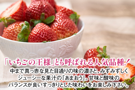 福岡産 あまおう 約300g (12～15粒) 1箱 いちご 苺 果物 フルーツ 九州産 福岡県産 冷蔵 ギフト箱 箱入り ギフト 贈り物 送料無料【12月上旬発送開始予定】
