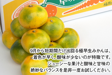 福岡県産ブランドみかん 「早味かん」約4kg箱