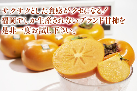福岡県産ブランド柿「秋王」約3kg(8-12玉)