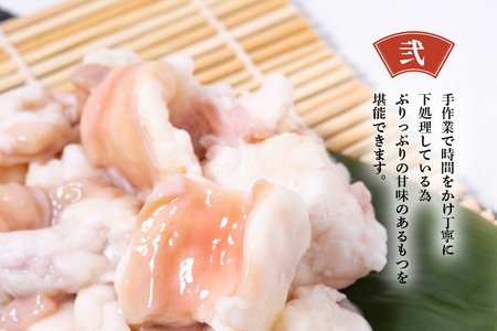 【6ヶ月定期便】 老舗人気店 博多 本格 もつ鍋 セット 2～3人前×6回 国産もつ 小腸 ちゃんぽん麺 薬味付き 鍋セット お取り寄せ グルメ 惣菜 福岡 にんにくスライス 特製辛味噌 送料無料