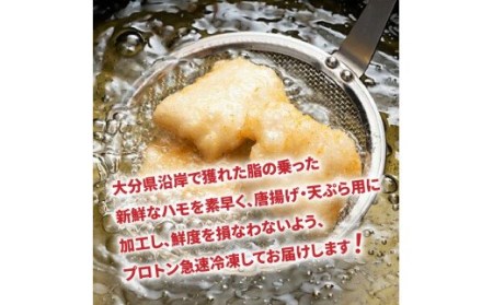 揚げたてが絶品！豊後ハモの唐揚げ＆天ぷら/0.5kg _0275N