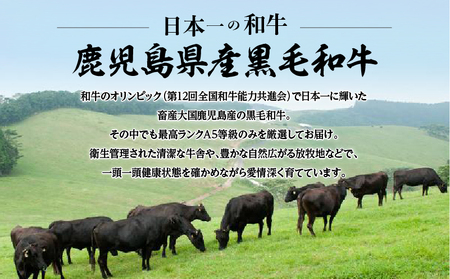 【全4回】A5等級 鹿児島 黒毛和牛 赤身 定期便 K002-T01 肉 牛肉 冷凍