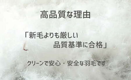 ザ・羽毛ふとん/立体キルト 布団 睡眠 寝具 ふとん【251-000362-20】【5.2-1】